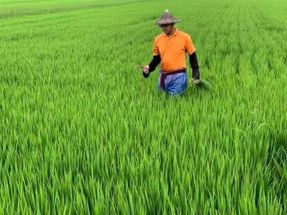 陳家庄農園 永續行動照片