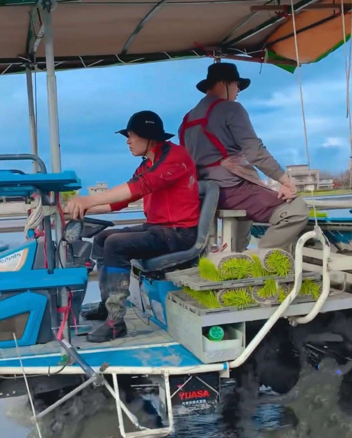 陳家庄農園 永續行動照片